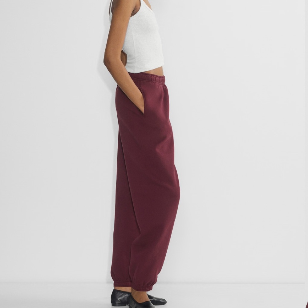 Aritzia Cozy Sweatfleece Mega Jogger in maroon